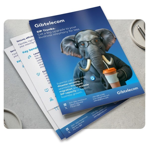 Image of SIP Trunks Product Sheet